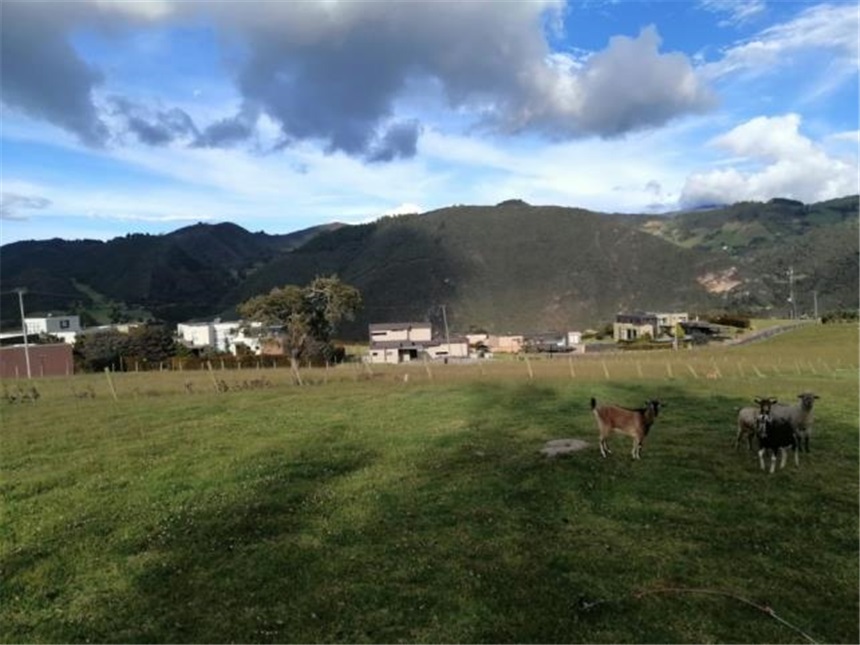 Lote en venta en La Plazuela, La Calera, 10000 m² · foto 11 de 12