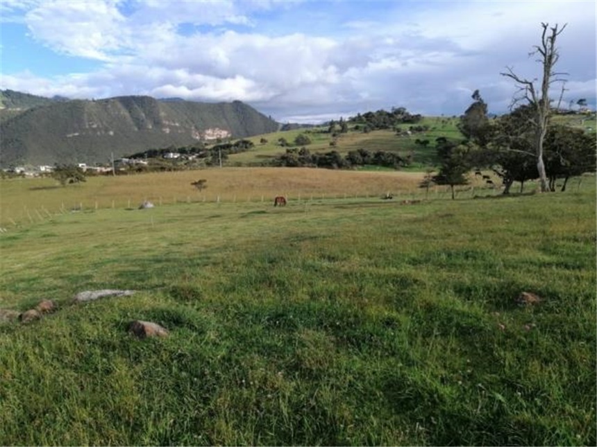 Lote en venta en La Plazuela, La Calera, 10000 m² · foto 4 de 12