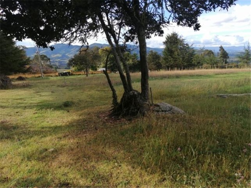 Lote en venta en La Plazuela, La Calera, 10000 m² · foto 7 de 12