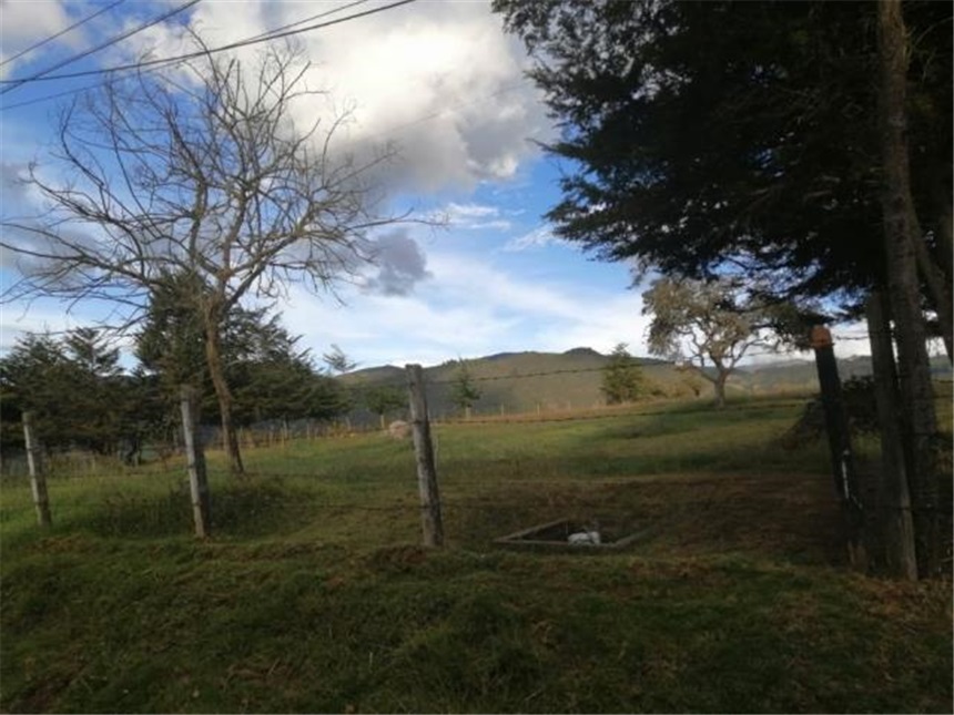 Lote en venta en La Plazuela, La Calera, 10000 m² · foto 12 de 12