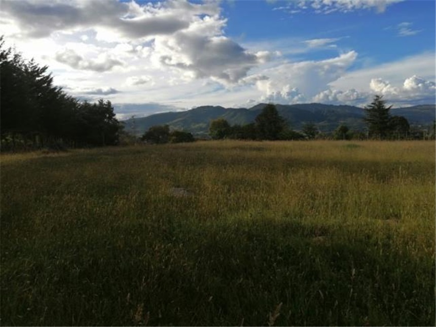 Lote en venta en La Plazuela, La Calera, 10000 m² · foto 2 de 12
