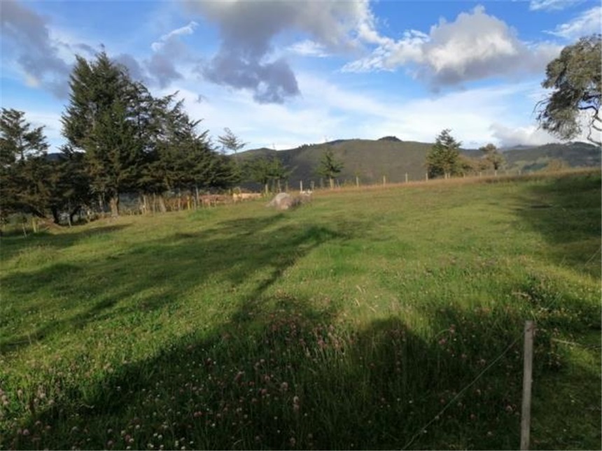 Lote en venta en La Plazuela, La Calera, 10000 m² · foto 9 de 12