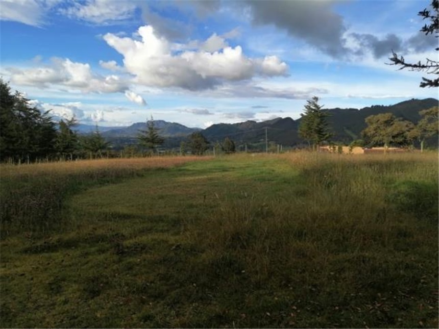 Lote en venta en La Plazuela, La Calera, 10000 m² · foto 5 de 12