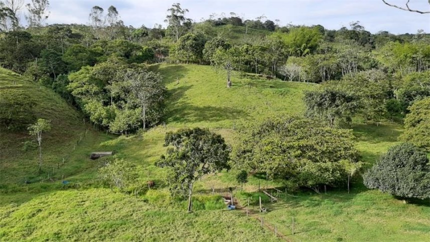 Finca en Venta – další