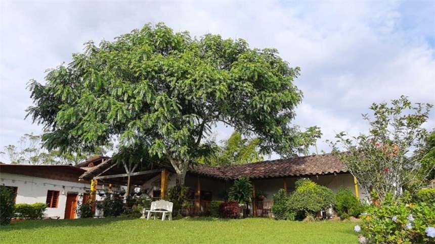 Finca en Venta – pohled 3