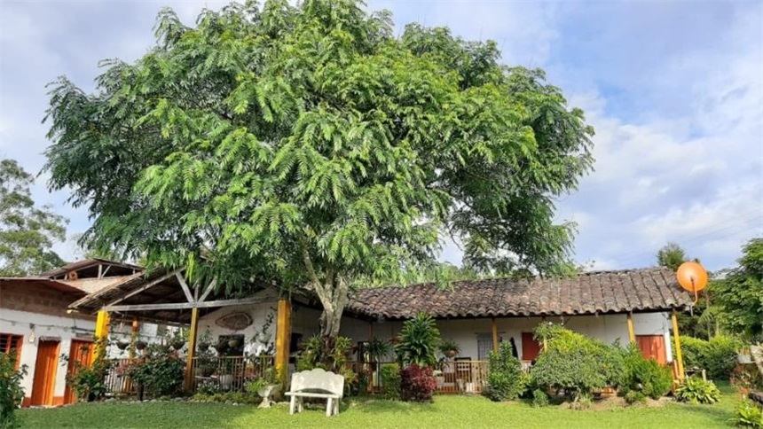 Finca en Venta – pohled 4