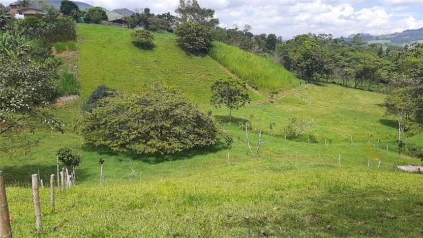 Finca en Venta – pohled 6