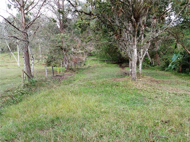 Lote en venta en Pantanillo, Envigado, 17766 m² · foto 3 de 13