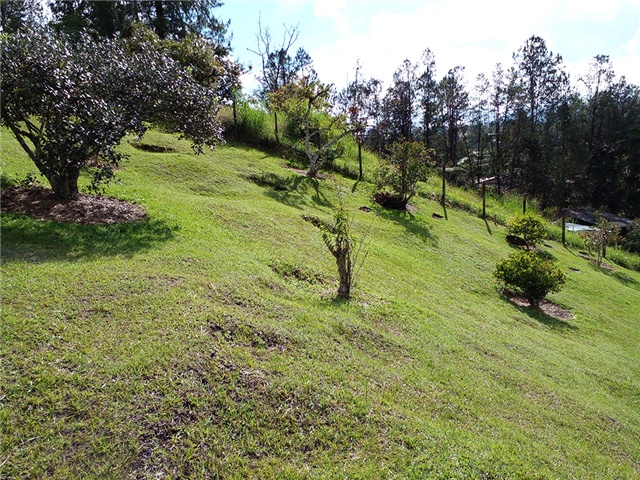 Lote en venta en Pantanillo, Envigado, 17766 m² · foto 4 de 13
