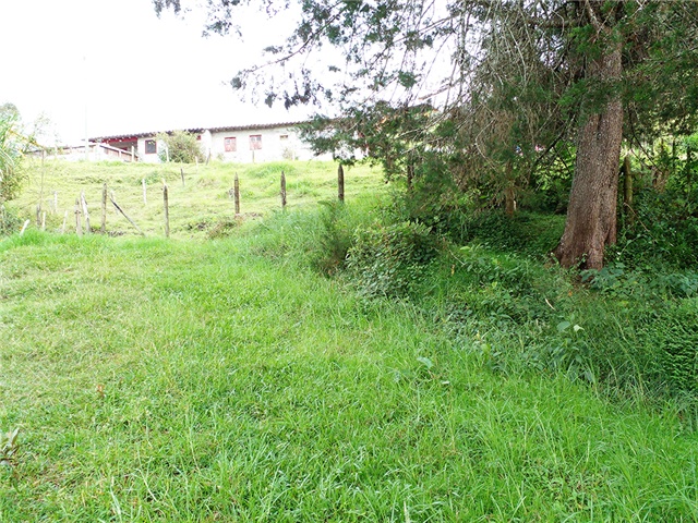 Lote en venta en Pantanillo, Envigado, 17766 m² · foto 6 de 13