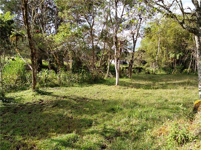 Lote en venta en Pantanillo, Envigado, 17766 m² · foto 9 de 13