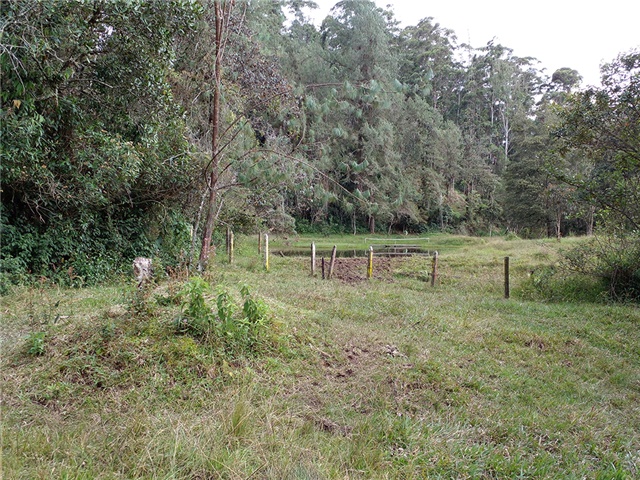 Lote en venta en Pantanillo, Envigado, 17766 m² · foto 10 de 13