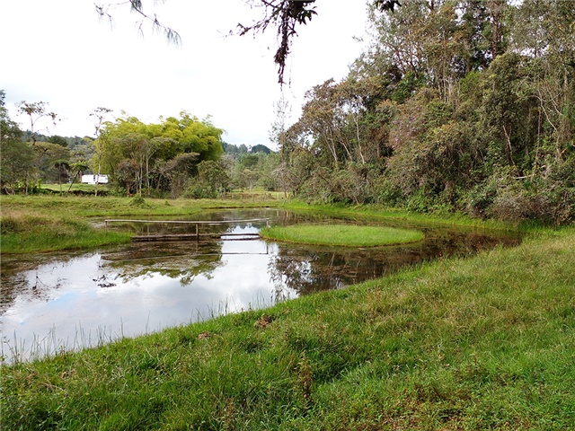 Lote en venta en Pantanillo, Envigado, 17766 m² · foto 11 de 13