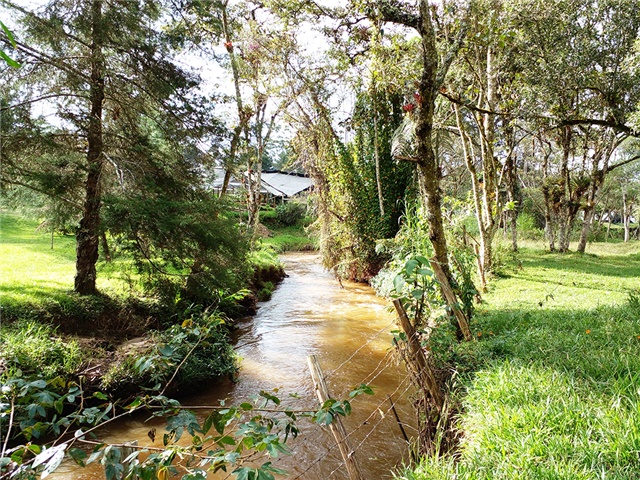 Lote en venta en Pantanillo, Envigado, 17766 m² · foto 12 de 13