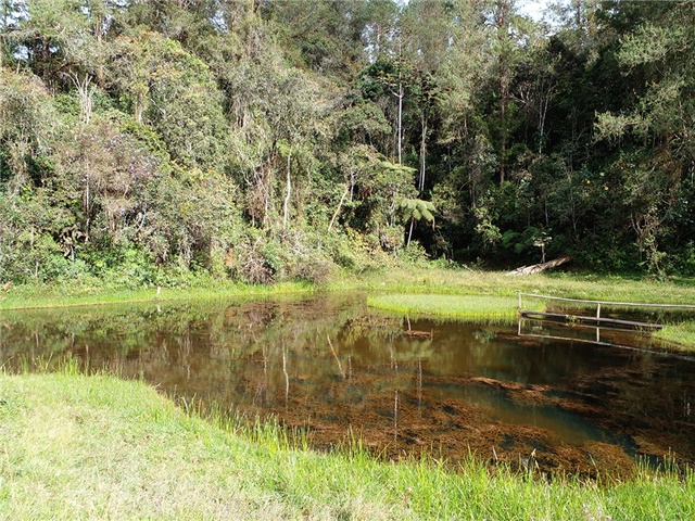 Lote en venta en Pantanillo, Envigado, 17766 m² · foto 13 de 13