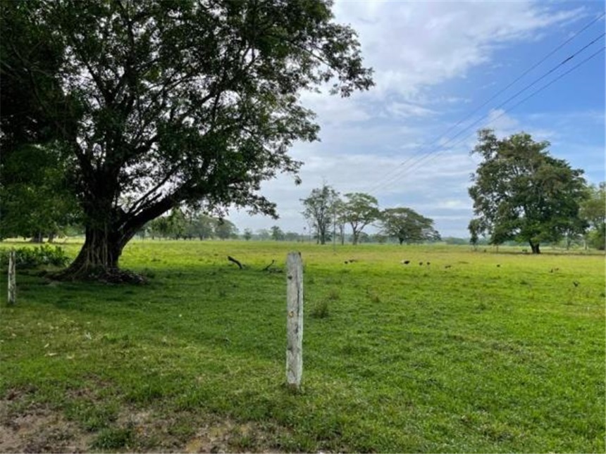 Finca en Venta – další