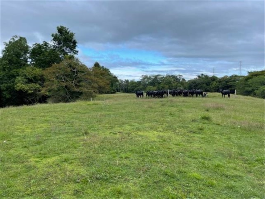 Finca en Venta – pohled 5