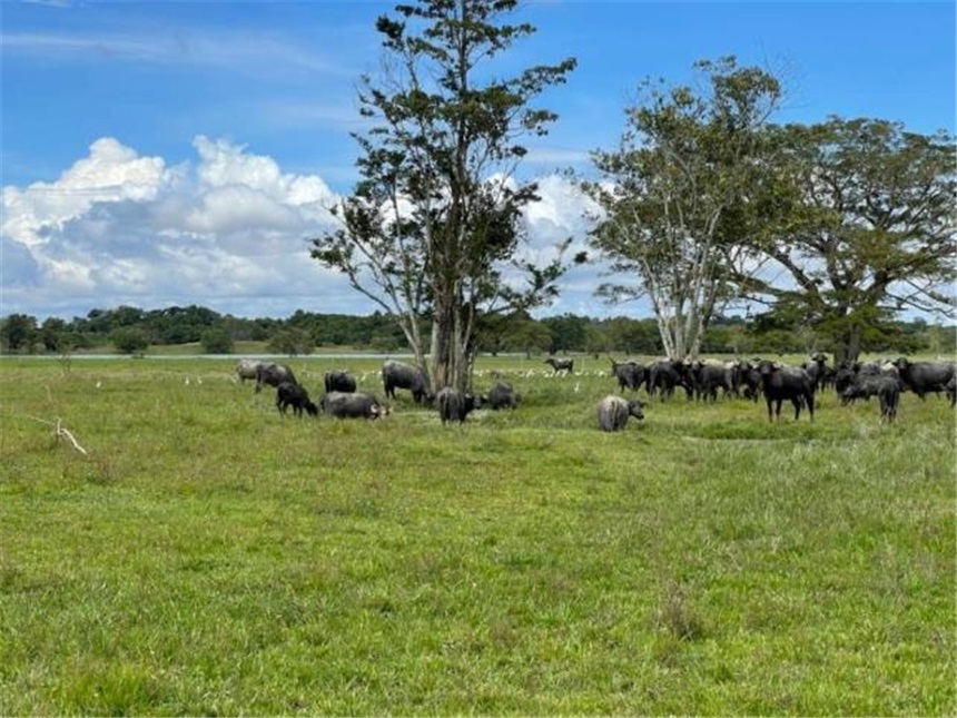 Finca en Venta – pohled 4