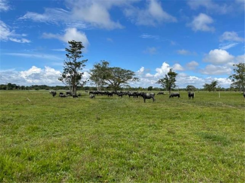 Finca en Venta – pohled 3