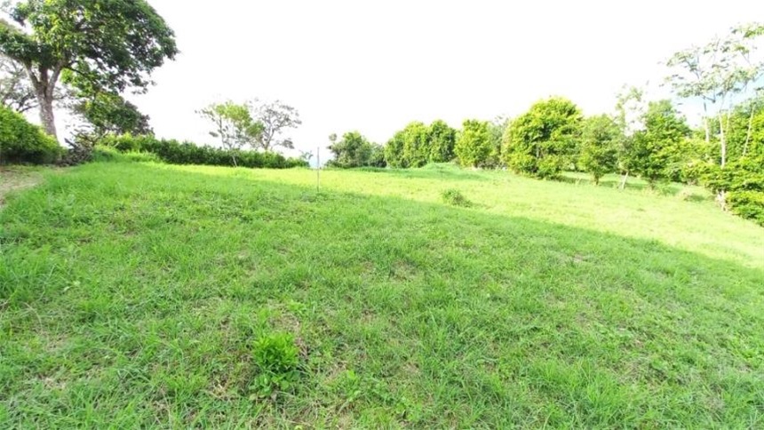Lote en venta en Puerto Espejo, Armenia, 3000 m² · foto 5 de 11