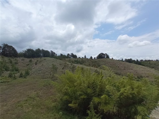 Local en Arriendo - Visning 6