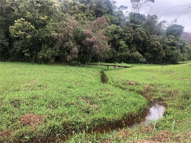 Finca en Venta - Vista 5