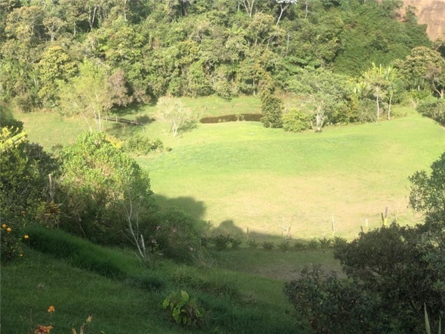Finca en Venta - Vista 6