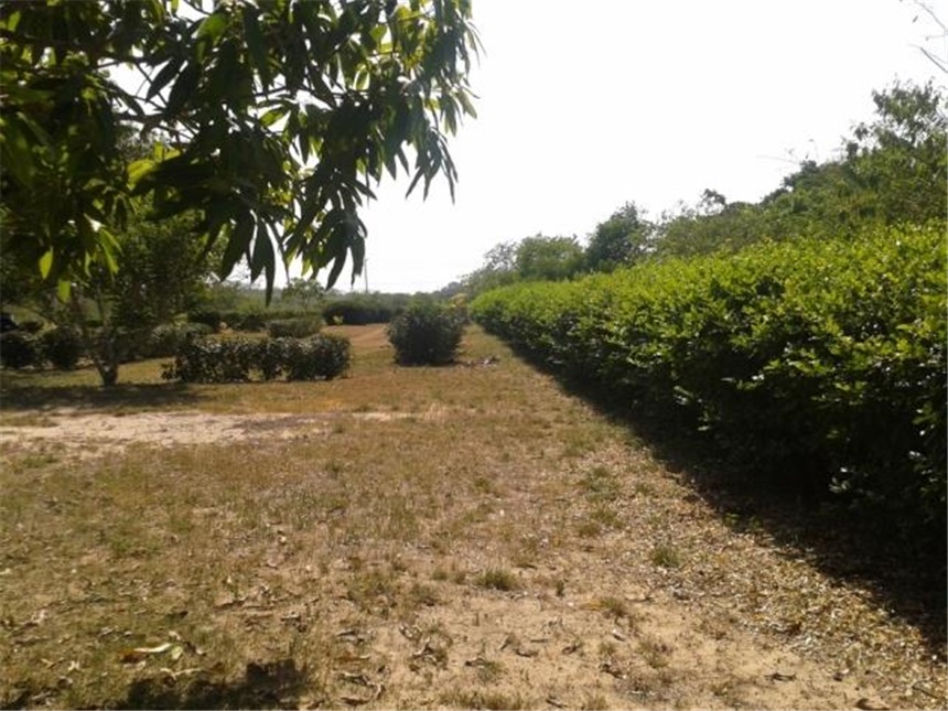 Lote en venta en San Roque, Barranquilla, 1570 m² · foto 3 de 4