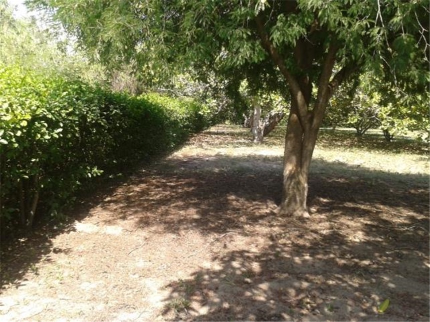 Lote en venta en San Roque, Barranquilla, 1570 m² · foto 4 de 4