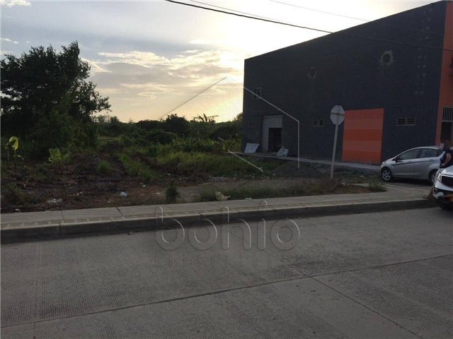 Lote en venta en Los Garzones, Montería, 500 m² · foto 2 de 9