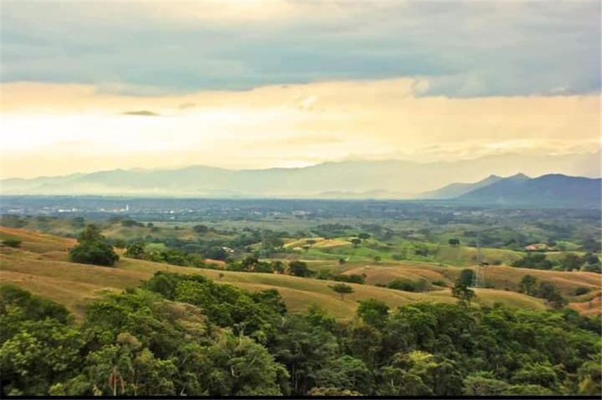 Lote en venta en Cerritos, Pereira, 10046 m² · foto 8 de 10
