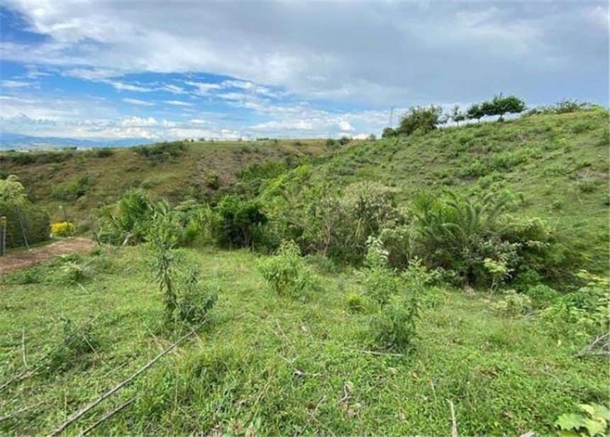 Lote en venta en Cerritos, Pereira, 10046 m² · foto 5 de 10