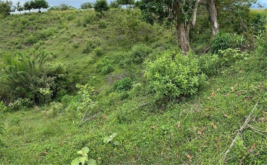 Lote en venta en Cerritos, Pereira, 10046 m² · foto 6 de 10