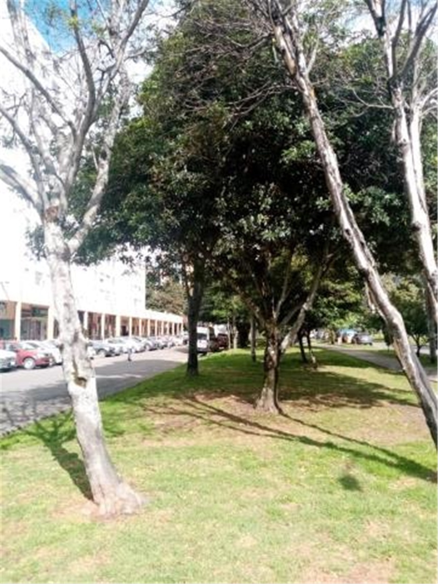 Piso – Bogotá, Toberín, Localidad Usaquén - Vista 4