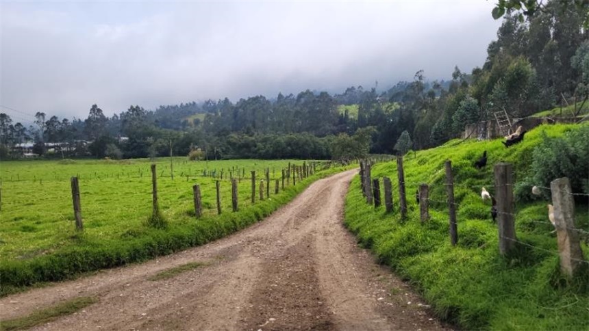 Finca en Venta