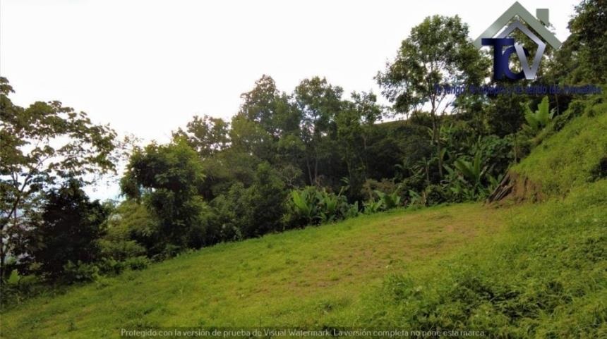 Finca en venta en Casco Antiguo - Floridablanca, Floridablanca, 60000 m² · foto 15 de 18