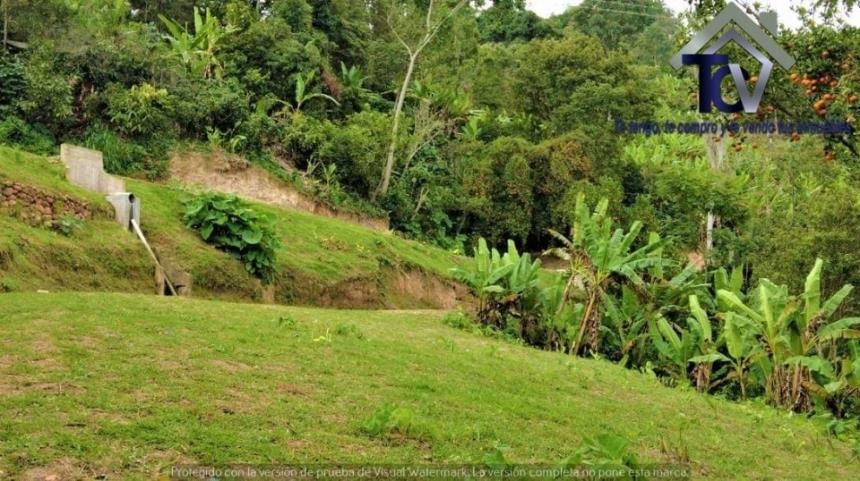 Finca en venta en Casco Antiguo - Floridablanca, Floridablanca, 60000 m² · foto 8 de 18