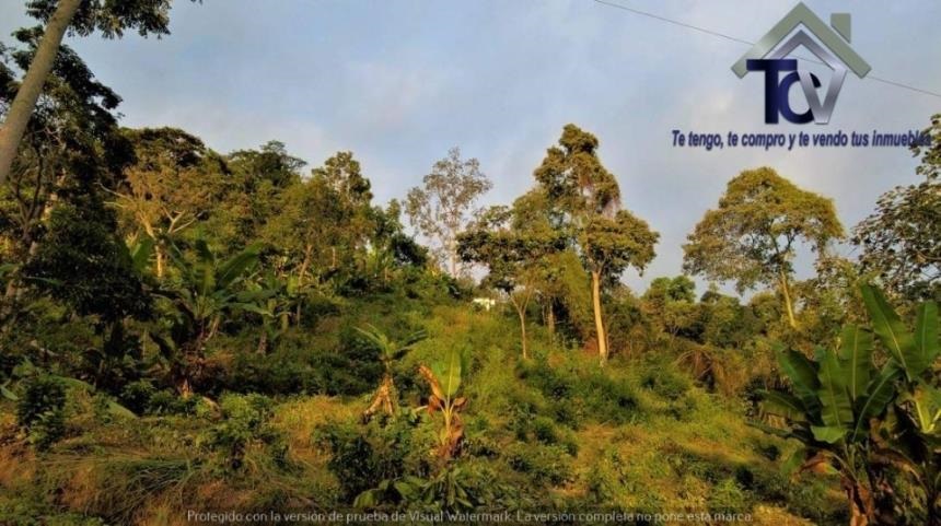Finca en venta en Casco Antiguo - Floridablanca, Floridablanca, 60000 m² · foto 18 de 18