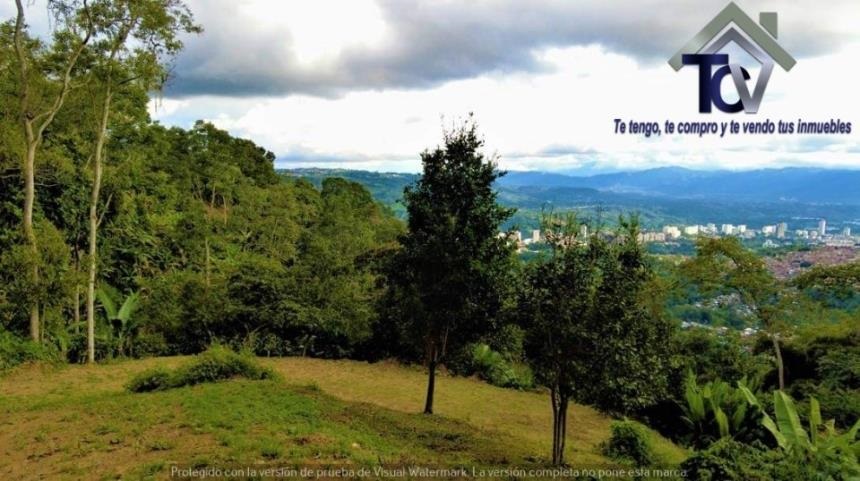 Finca en venta en Casco Antiguo - Floridablanca, Floridablanca, 60000 m² · foto 5 de 18
