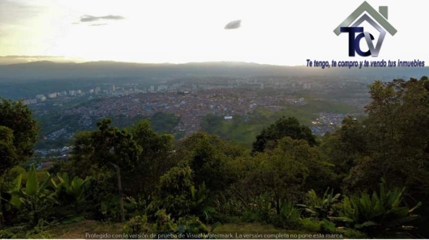 Finca en venta en Casco Antiguo - Floridablanca, Floridablanca, 60000 m² · foto 17 de 18
