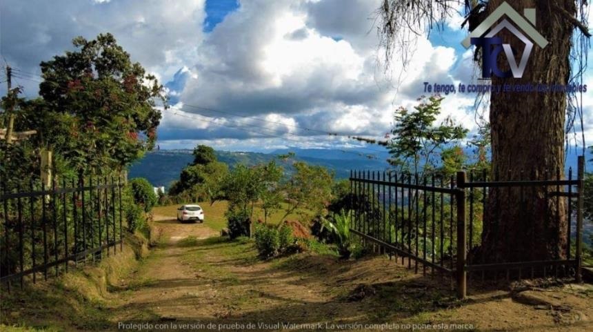 Finca en venta en Casco Antiguo - Floridablanca, Floridablanca, 60000 m² · foto 6 de 18