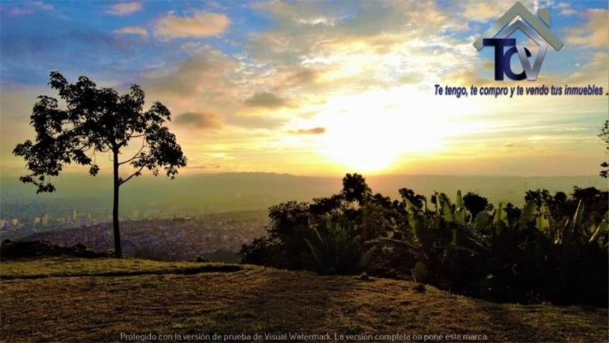 Finca en venta en Casco Antiguo - Floridablanca, Floridablanca, 60000 m² · foto 3 de 18