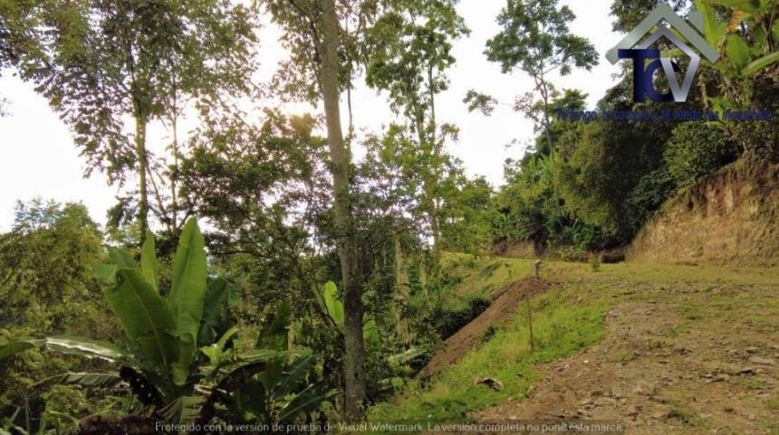 Finca en venta en Casco Antiguo - Floridablanca, Floridablanca, 60000 m² · foto 12 de 18