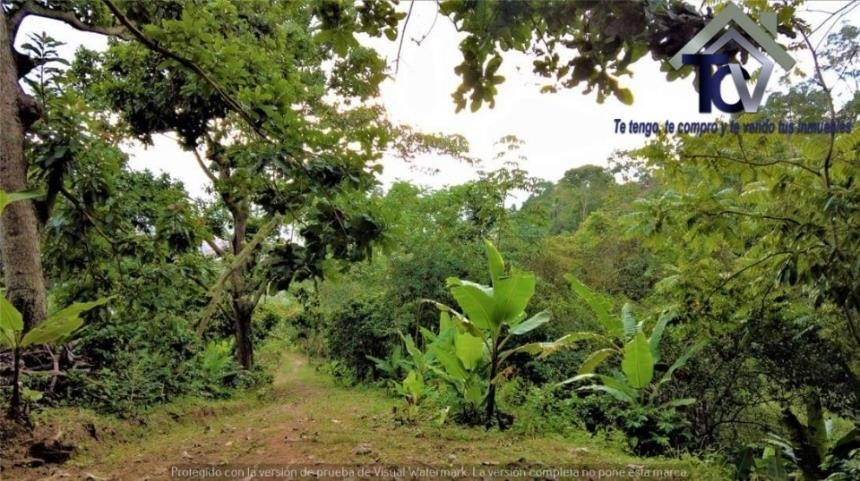 Finca en venta en Casco Antiguo - Floridablanca, Floridablanca, 60000 m² · foto 4 de 18