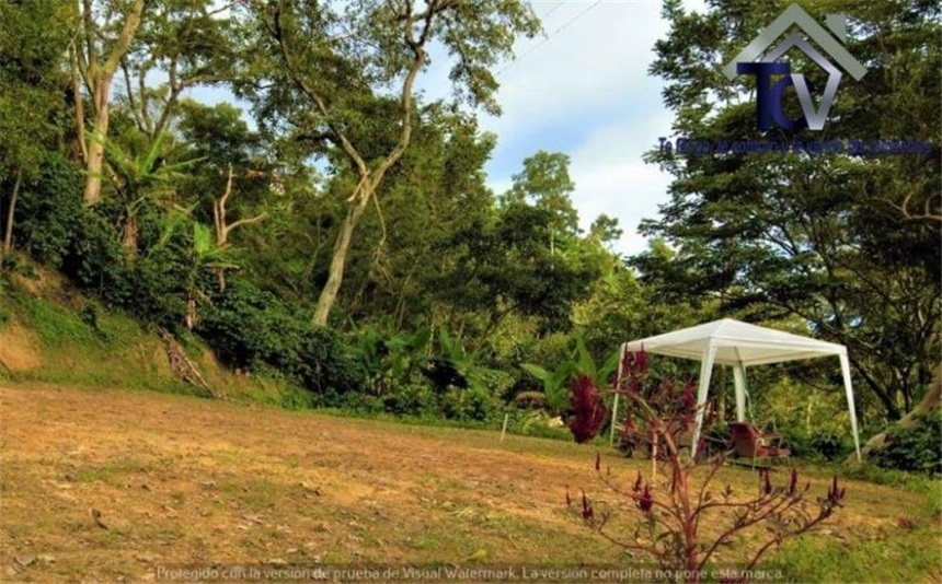 Finca en venta en Casco Antiguo - Floridablanca, Floridablanca, 60000 m² · foto 14 de 18