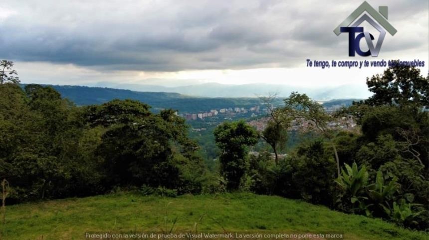 Finca en venta en Casco Antiguo - Floridablanca, Floridablanca, 60000 m² · foto 16 de 18