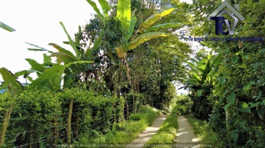 Finca en venta en Casco Antiguo - Floridablanca, Floridablanca, 60000 m² · foto 7 de 18