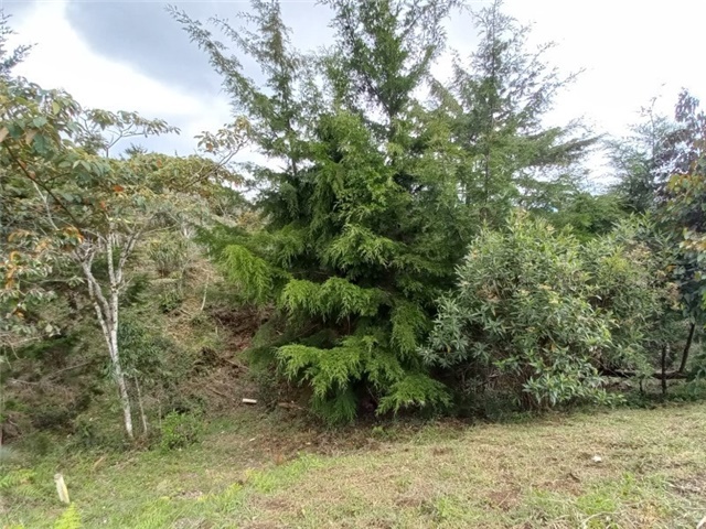 Lote en Venta - View 4