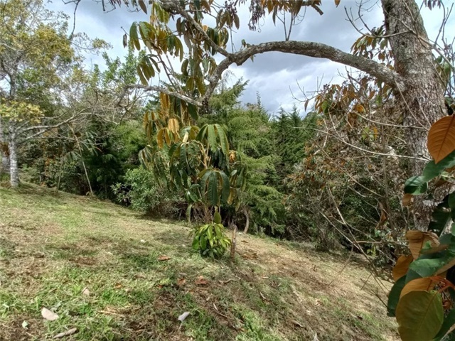 Lote en Venta - View 5