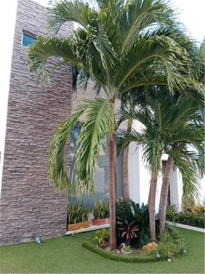 Casa en Arriendo - Ansicht 2
